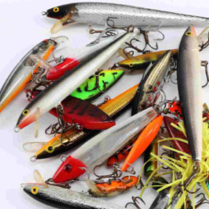 Hard Baits
