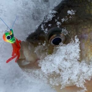 Ice Fishing